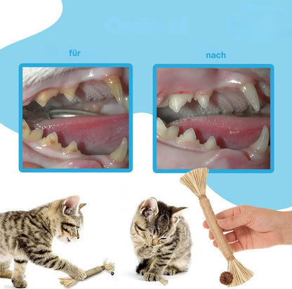 Serenosole™ MeowTastic | Hält deine Katze beschäftigt, reinigt dabei natürlich die Zähne und sorgt für frischen Atem | Lieblingsspielzeug für Katzen 2025