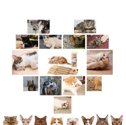 Serenosole™ MeowTastic | Hält deine Katze beschäftigt, reinigt dabei natürlich die Zähne und sorgt für frischen Atem | Lieblingsspielzeug für Katzen 2025