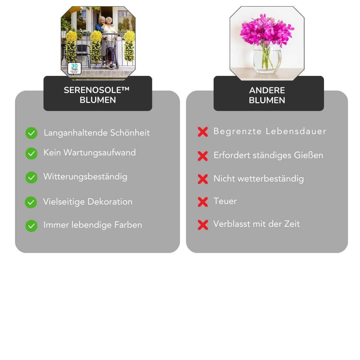 Serenosole™ EverBloom | Elegante, herabfließende Orchideen – Schönheit, die ewig hält | Beste Kunstblume 2025