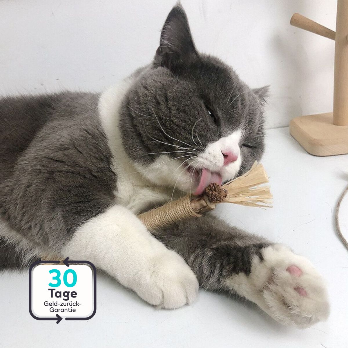 Serenosole™ MeowTastic | Hält deine Katze beschäftigt, reinigt dabei natürlich die Zähne und sorgt für frischen Atem | Lieblingsspielzeug für Katzen 2025