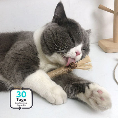 Serenosole™ MeowTastic | Hält deine Katze beschäftigt, reinigt dabei natürlich die Zähne und sorgt für frischen Atem | Lieblingsspielzeug für Katzen 2025