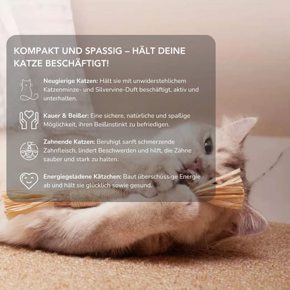 Serenosole™ MeowTastic | Hält deine Katze beschäftigt, reinigt dabei natürlich die Zähne und sorgt für frischen Atem | Lieblingsspielzeug für Katzen 2025