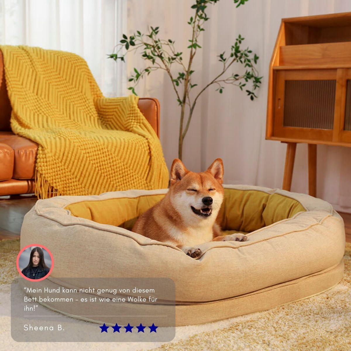 Serenosole™ DreamPaws Hundebett | Schafft den ultimativen Entspannungsplatz für deinen Hund | Das perfekte Hundehimmel 2024