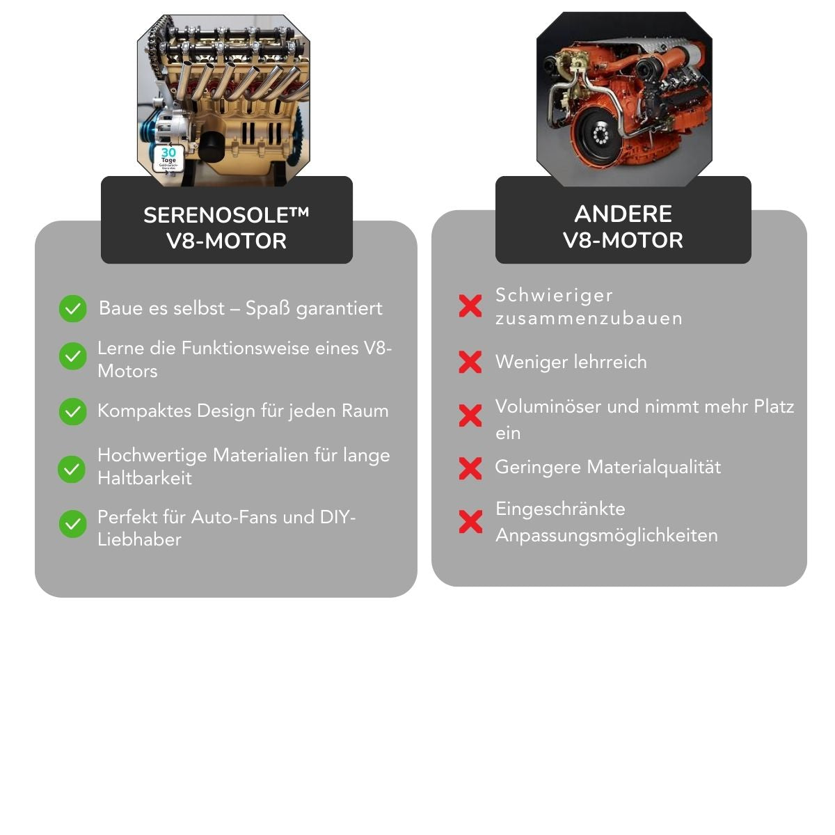 Serenosole™ EngineCrafter V8-Motor | Bauen, lernen und deinen eigenen Mini-V8-Motor starten