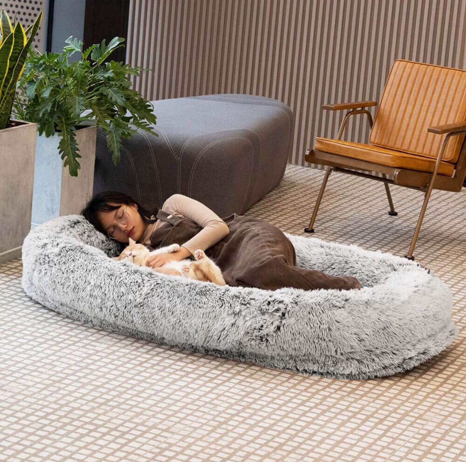 Serenosole™ DreamPaws Hundebett | Schafft den ultimativen Entspannungsplatz für deinen Hund | Das perfekte Hundehimmel 2024